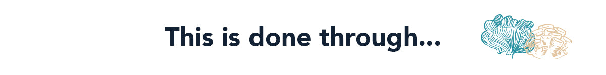 Support The Great Barrier Relief