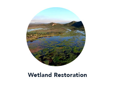 Support The Great Barrier Relief