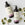Hydrating Body Lotion | Bergamont & Patchouli - Sukin Naturals USA